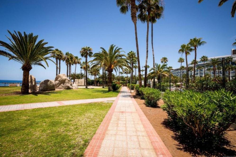Altamira Apartamentos Adeje アデヘ エクステリア 写真